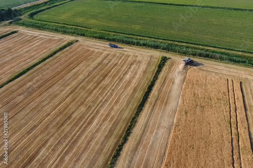 Combine harvester harvest barley