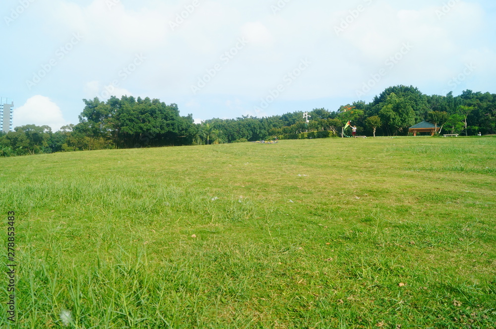 Lawns, plants and trees