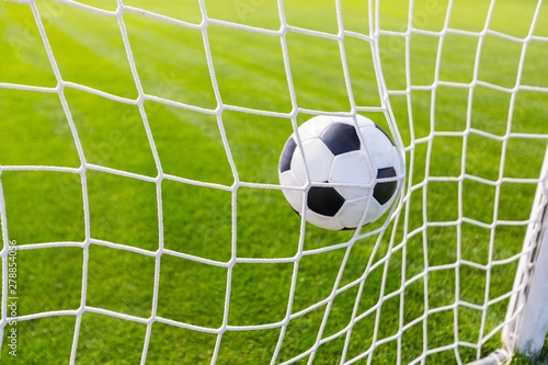 A Soccer Ball in a Net © BillionPhotos.com