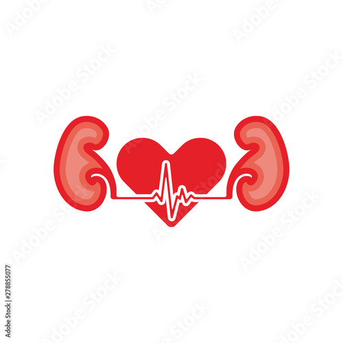 The symbol love for the kidneys.