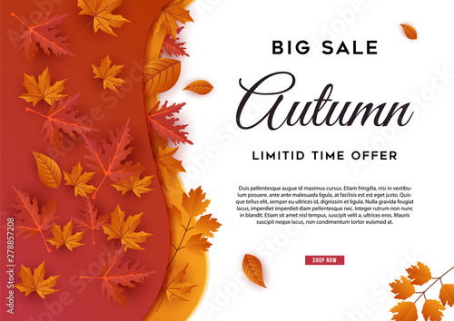Autumn big sale leaves background vector illustration
