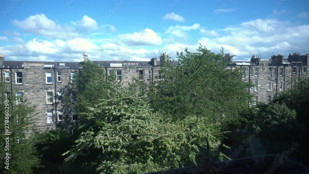 A back garden in Edinburgh during a light breeze. Beautiful trees and flying seagulls featured. A back garden in Edinburgh during a light breeze. Beautiful trees and flying seagulls featured.