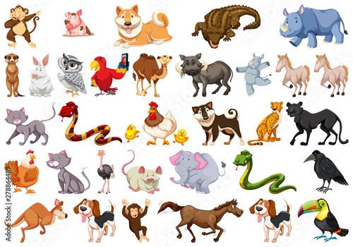 Diverse set of isolated animals on white