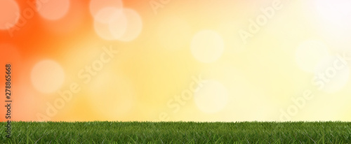 blades of grass 3d-illustra...