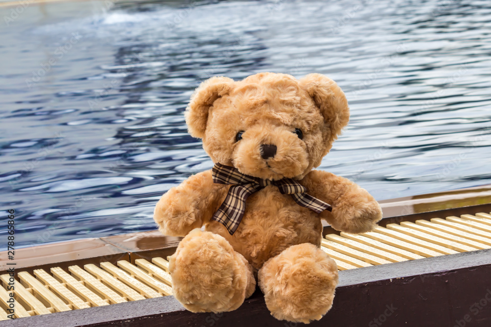 Obraz premium Teddy bare beside the pool. alone