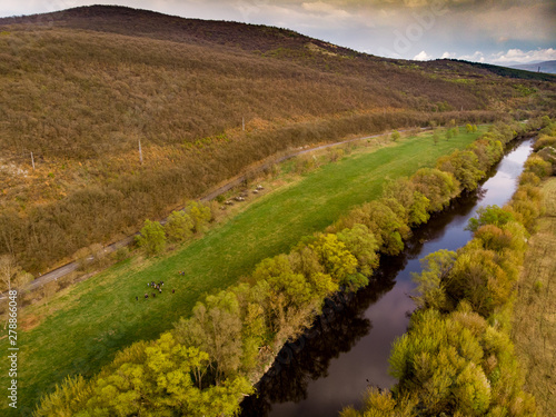 River in the greeny mountains