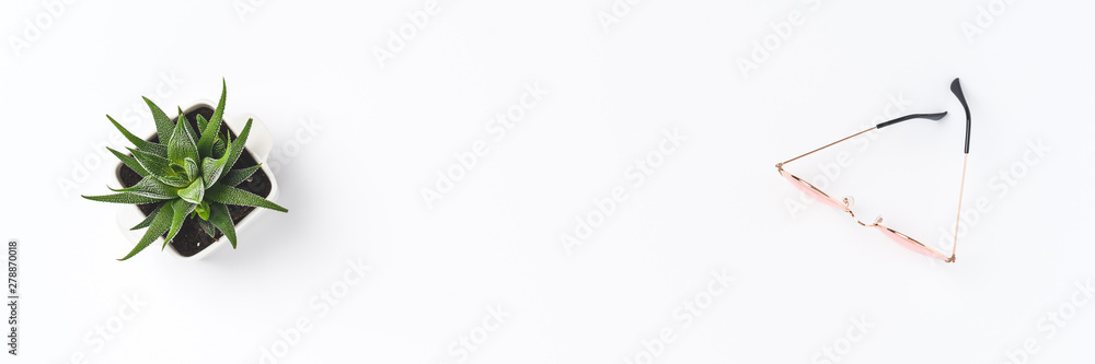 Women’s sunglasses and succulent on white background Women’s sunglasses and succulent on white background