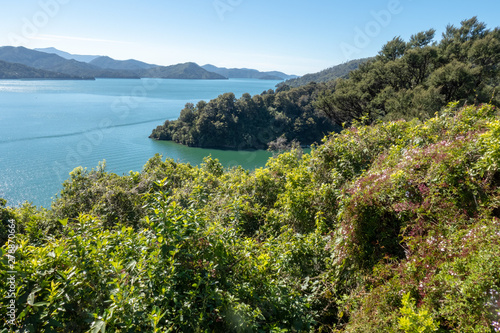 Stunning Marlborough Sounds landscape scenery in New Zealand © Stewart