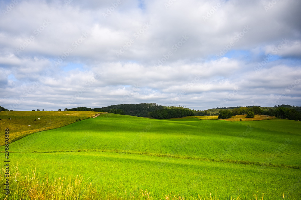 Nice green meadow field on a summertime Nice green meadow field on a summertime
