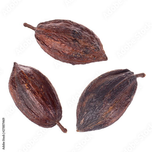 set of cacao pods isolated on white background