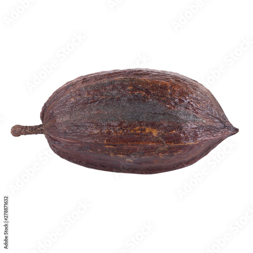 dried cacao pod isolated on white background
