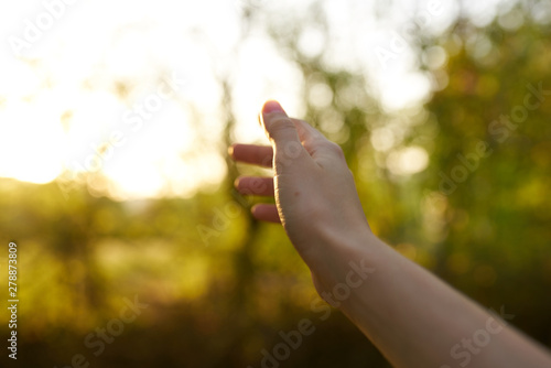 hand with leaf