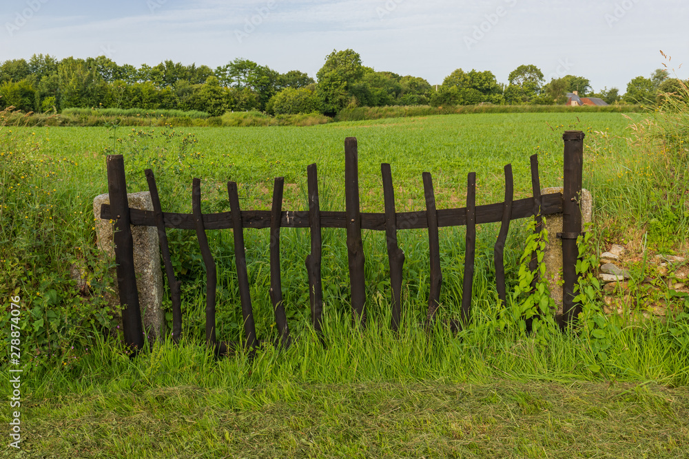 wooden door in a field wooden door in a field