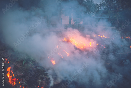 Fire fields and smoke.