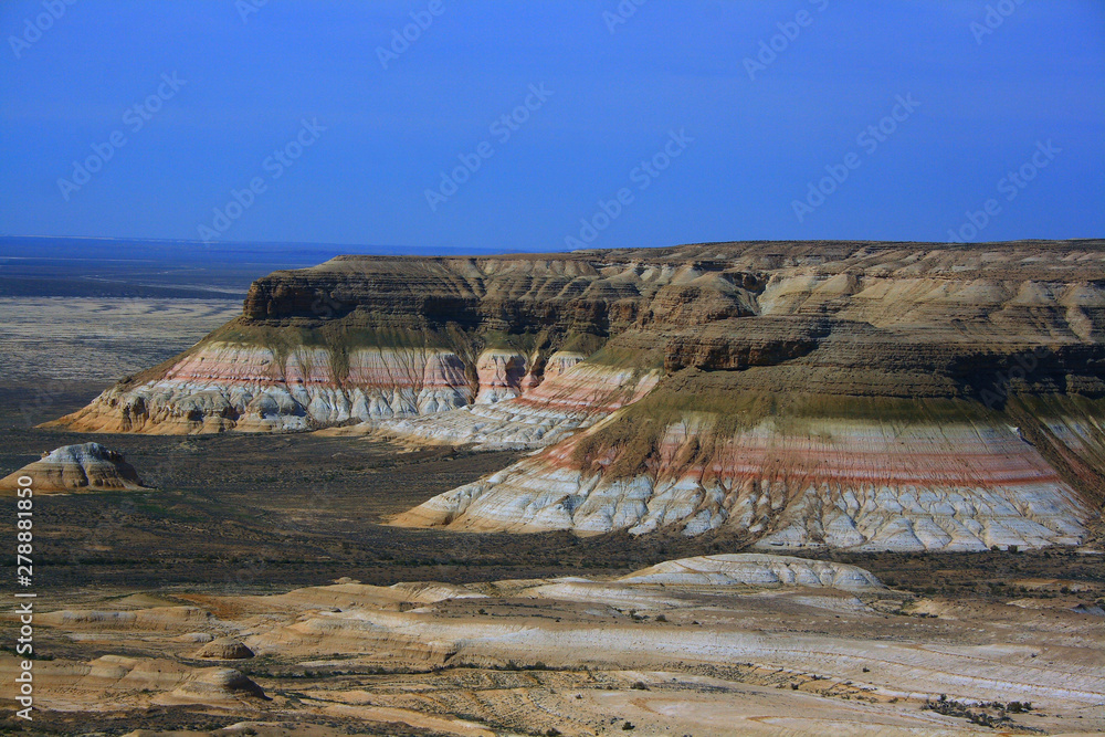 Fototapeta premium Kazakhstan. Ustyurt Plateau. Chinks.