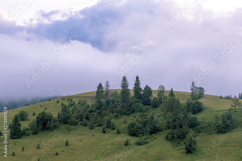 Dusk landscape. Mountain green slope with trees and beautiful clouds in Carpathian mountains, Ukraine.