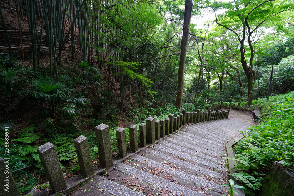 Fototapeta premium ◉Landscape of Iwashimizu Hachimangu◉