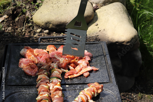 Tasty chicken noodles and meat on iron stick with vegetables on alternated warms on special stone made of garnite. photo