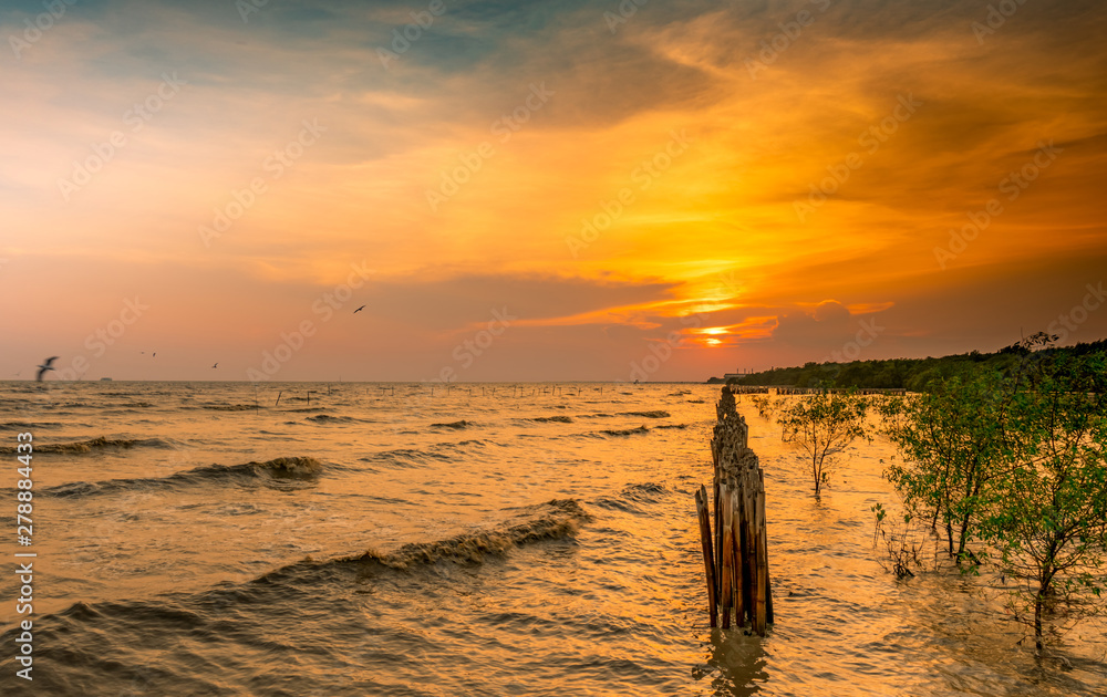 Beautiful sunset sky and clouds over the sea. Bird flying near abundance mangrove forest. Mangrove ecosystem. Good environment. Landscape of seashore or coast. Scenic sunset sky in Thailand. Beautiful sunset sky and clouds over the sea. Bird flying near abundance mangrove forest. Mangrove ecosystem. Good environment. Landscape of seashore or coast. Scenic sunset sky in Thailand.