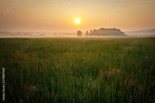 sunset over field © Александр Денисюк