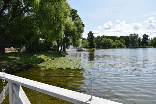Quadro em tela the Park lake with growing water-lilies on the surface of the water