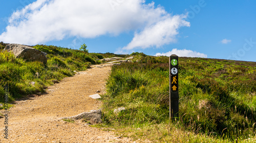 Trail marker on the hiking path leading to Ticknock, Fairy Castle peak, on Dublin Mountains Way on a sunny summer day in Ireland. Dirt footpath on a hill through moorland towards the blue sky.
