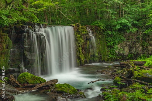 The fresh green of Aomori Prefecture Oirase mountain stream