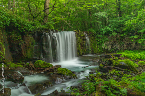 The fresh green of Aomori Prefecture Oirase mountain stream