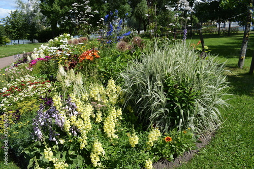 Fototapeta Naklejka Na Ścianę i Meble -  flowers in the garden