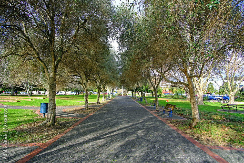 A Walking track inside a park in auckland