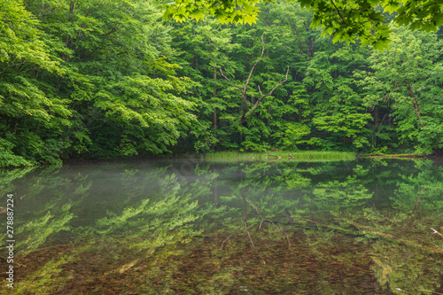 Oirase mountain stream in early summer