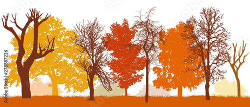 Autumn trees in park silhouette, vector illustration. Bare trees, colorful silhouette of different trees.