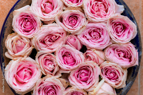 Pink roses as background texture.