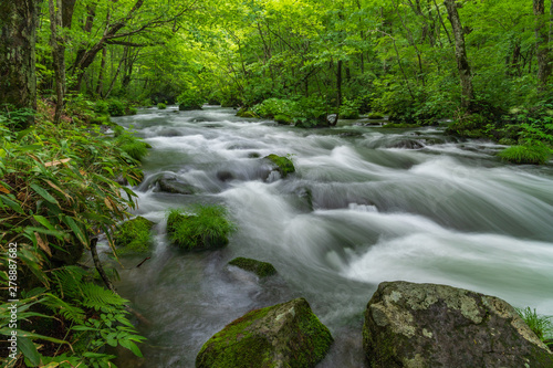 Oirase mountain stream in early summer