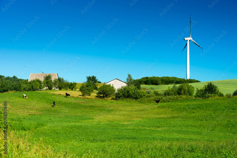 Fototapeta premium Green fields with wind turbines in Poland
