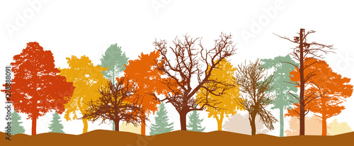 Silhouette of forest in autumn. Bare trees, trees in orange, yellow, red colors. Vector illustration.