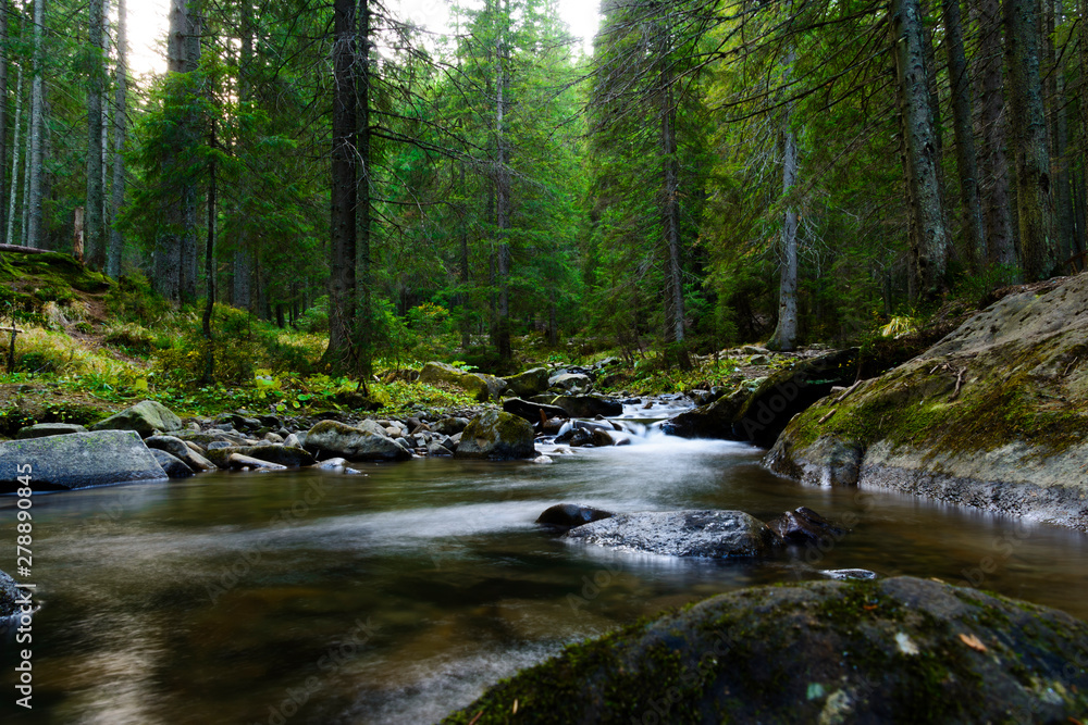 collage landscape with pine trees in mountains and a river in front flowing to lake. Carpathian collage landscape with pine trees in mountains and a river in front flowing to lake. Carpathian