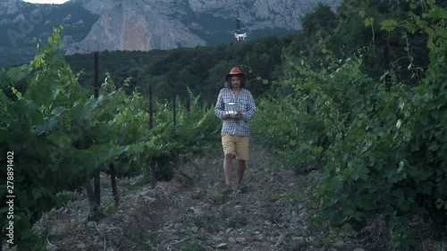 A male farmer uses a drone for farming. Monitors its grape fields. New technologies in agriculture. photo