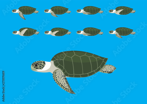 Sea Turtle Animation Swimming Cartoon Vector Illustration-01