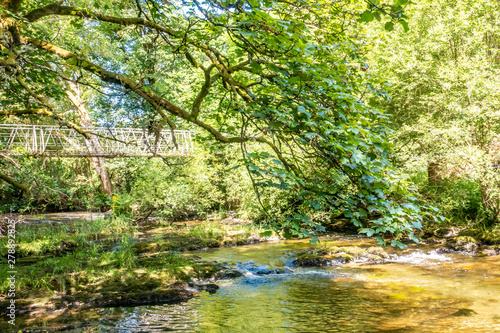 Upper reaches of the River Severn in the Llanidloes countryside, Wales