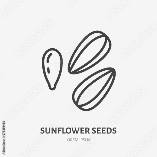 Sunflower seeds flat line icon. Vector thin sign of snack, healthy food outline illustration