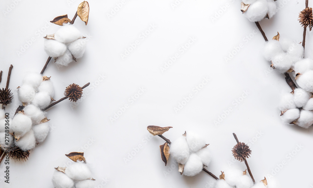 branch of white cotton on a white background, minimalism, cover web. - obrazy, fototapety, plakaty 