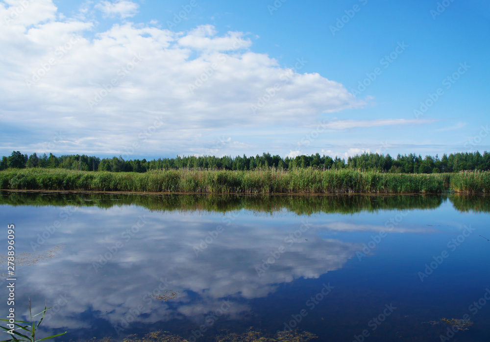 Wild nature. Landscape of a lake in the forest with beautiful water and waves.