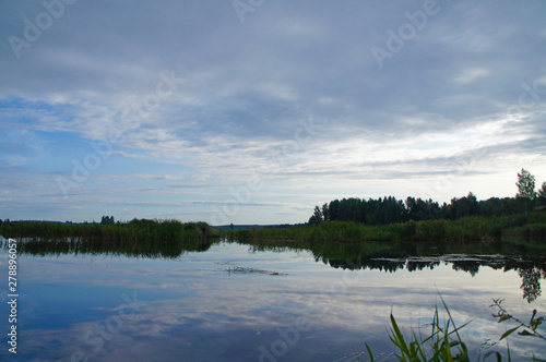 Wild nature. Landscape of a lake in the forest with beautiful water and waves.