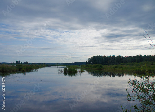 Wild nature. Landscape of a lake in the forest with beautiful water and waves.