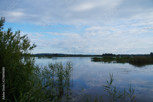 Wild nature. Landscape of a lake in the forest with beautiful water and waves.
