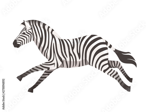 African zebra running side view cartoon animal design flat vector illustration isolated on white background