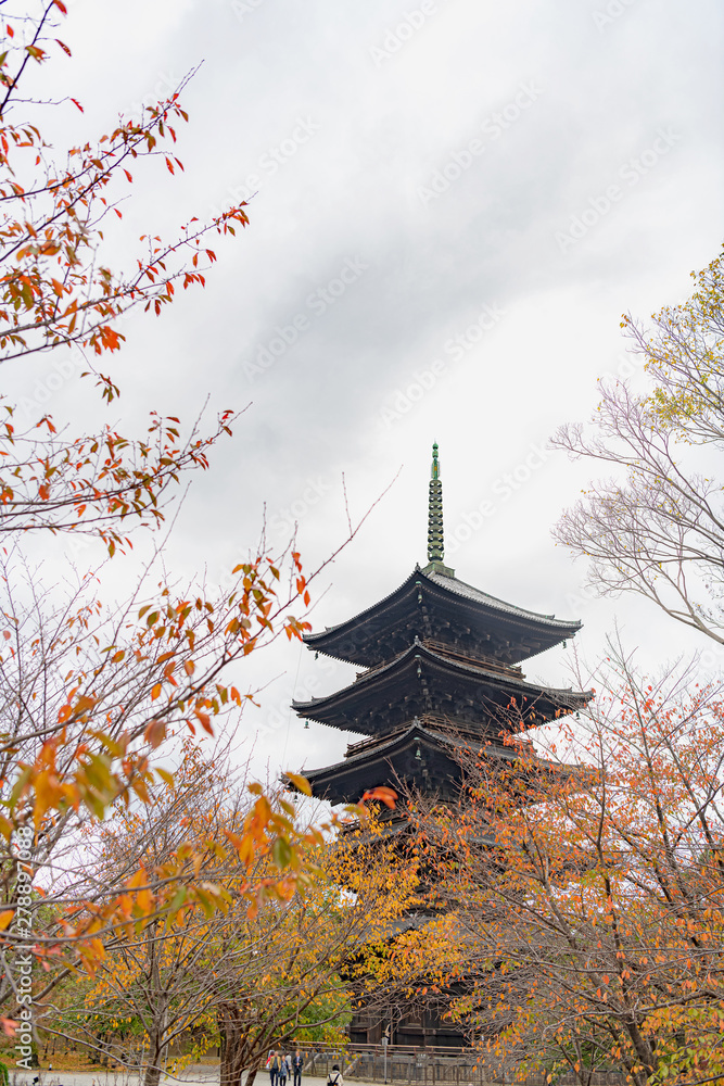 古都京都 東寺の秋景色