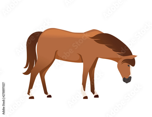 Brown horse wild or domestic animal cartoon design flat vector illustration isolated on white background