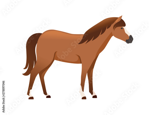 Brown horse wild or domestic animal cartoon design flat vector illustration isolated on white background